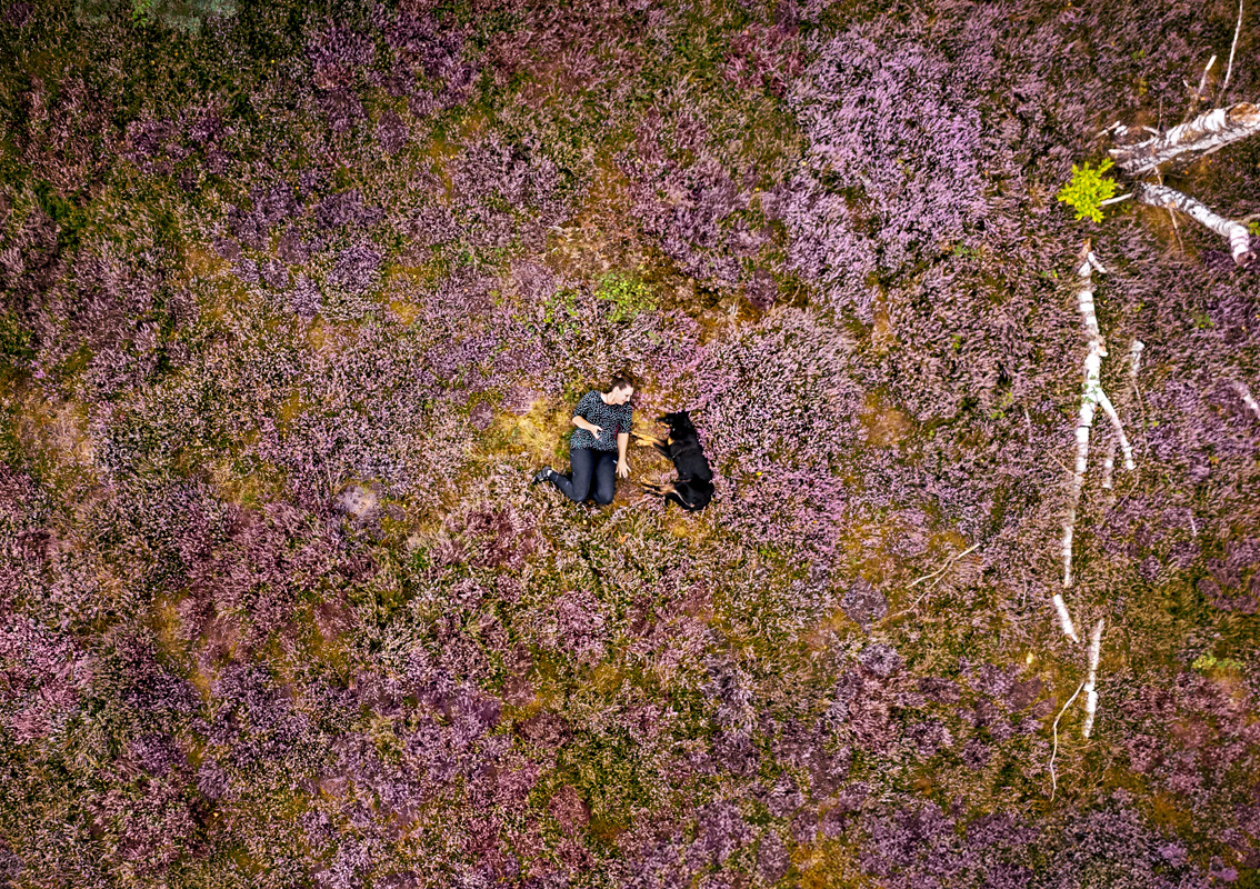 Drohnenfoto mit Frau und Hund